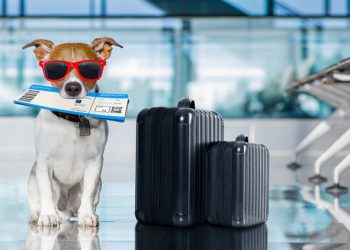 cap-nhat-lich-bay-quoc-te