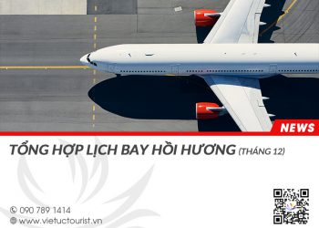 ve-may-bay-hoi-huong-ve-viet-nam